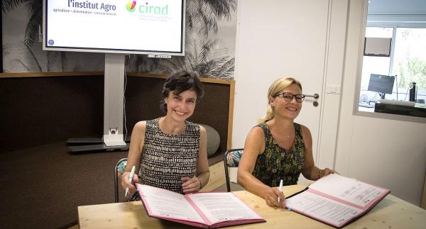 On Monday 12 July 2021, Élisabeth Claverie de Saint Martin (left) and Anne-Lucie Wack (right) signed an agreement to step up cooperation between CIRAD and Institut Agro in the field of training © C. Cornu, CIRAD